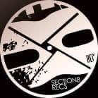 Section8