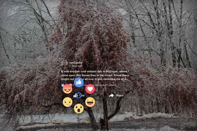 Facebook 360