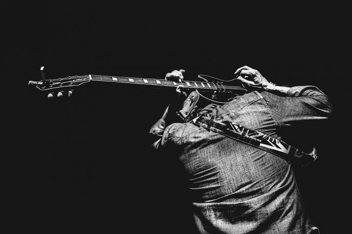 Guitar